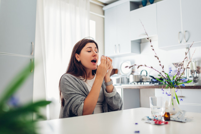 Dudding's Spring Allergies Acting Up? 3 Tips to Improve Indoor Air Quality ...